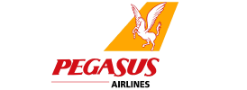 Pegasus